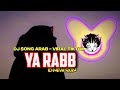 DJ SONG ARAB - YA RABB (Mashi netzakkar a