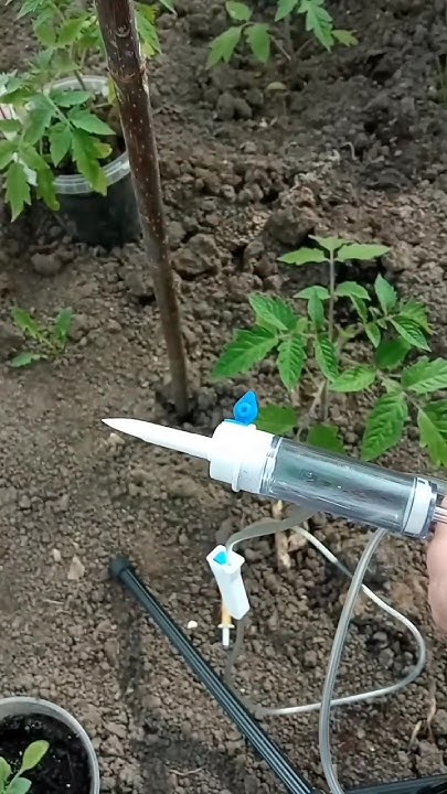 Делаю капельный полив в теплицу из подручных материалов #diy #огород # ...