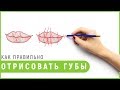 Как правильно отрисовывать губы #обучениетатуажу