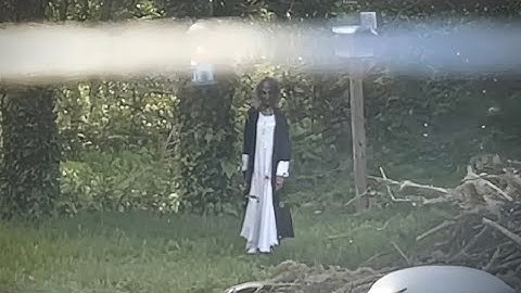 7 Most Terrifying Backyard Encounters Caught on Camera