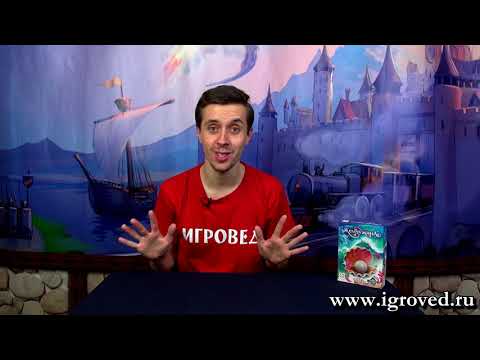 Жемчужина. Обзор настольной игры от Игроведа