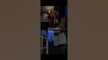 ﴿ قَالَ رَبِّ ٱشۡرَحۡ لِی صَدۡرِی ۝٢٥ وَیَسِّرۡ لِیۤ أَمۡرِی ﴾ | القارئ شريف مصطفى