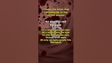 Challenge Yourself with Our NMAT PHYSICS Quiz by B-Witz