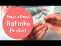 PASSO A PASSO - Ratinho Pocket