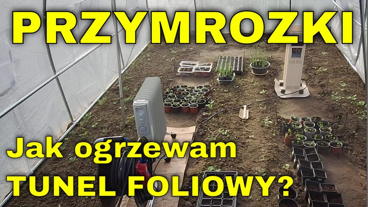 Wiosenne PRZYMROZKI. Zobacz jak chronię rośliny w TUNELU FOLIOWYM przed MROZEM. Ogrzewanie FOLIAKA.