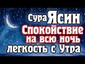 СУРА ЯСИН - СПОКОЙСТВИЕ НА ВСЮ НОЧЬ И ЛЕГКОСТЬ С УТРА, ЛЕЧЕНИЕ ДУШИ И СЕРДЦА,  священный коран.