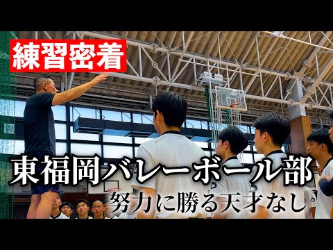 東福岡高校 バレーボール部 練習着 東福岡高校バレーボール部練習着 - メルカリ