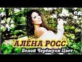 СУПЕР ХИТ !!! БЕЛОЙ ЧЕРЁМУХИ ЦВЕТ - АЛЁНА РОСС