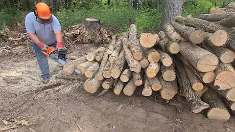 HUSQVARNA 550XP INITIAL IMPRESSIONS!