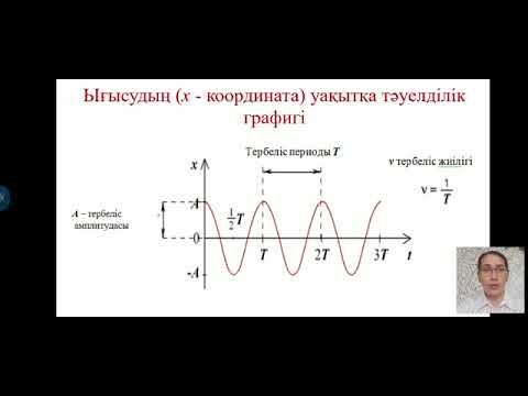 Бейне: Неліктен қарапайым гармоникалық қозғалысты зерттейміз?