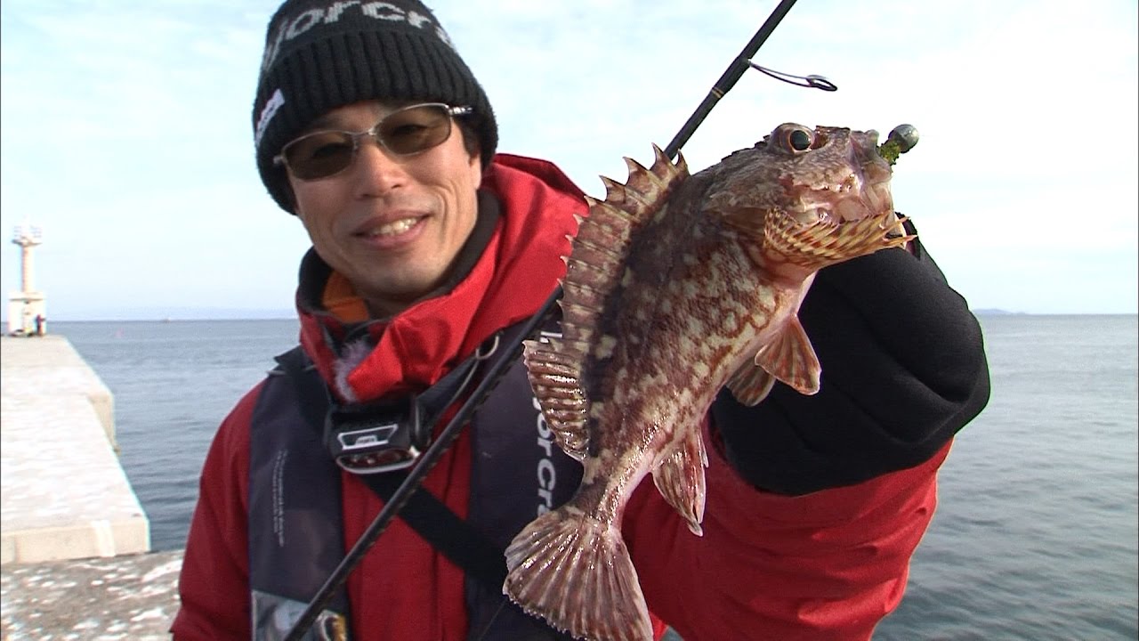 沖波止でロックフィッシュゲーム ガシラ絶好調 メバル激釣 四季の釣り 17年3月3日oa Youtube