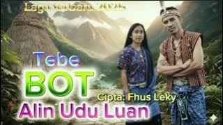 Tebe BOT Alin Udu Luan😭 lagu terbaru 2025, 