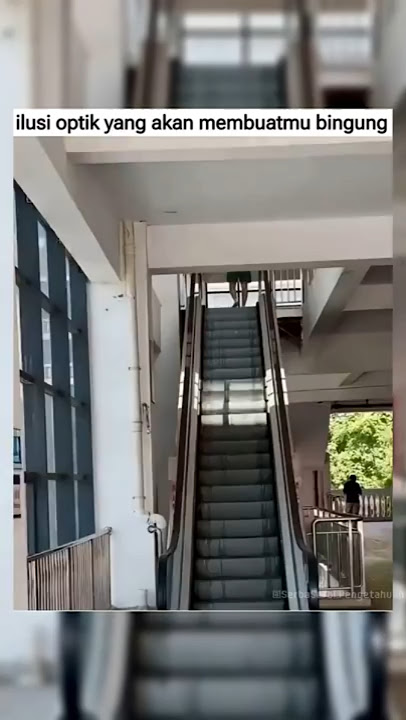 Confusing optical illusions part.17 #fyp #random #opticalillusion #viral