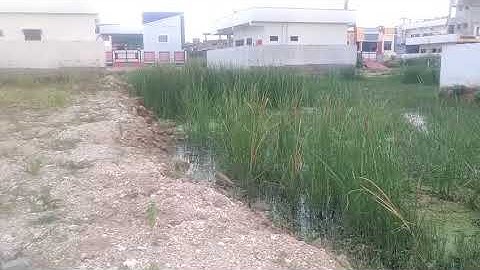 Open plots for sale sneha Nagar Suryapet