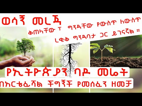 ቪዲዮ: Dior የልብስ ሀሳቦችን ከሮማውያን እንዴት እንደሰረቀ እና እንዴት ምላሽ እንደሰጡ