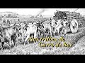 Nas Trilhas do Carro de Boi (Documentário)