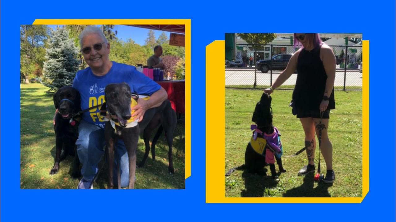 DogFest Long Island NYC 2021 YouTube