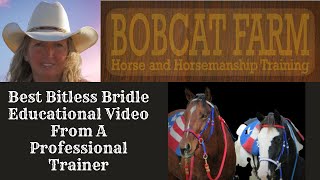 Best Bitless Bridle Educational Video From A Professional Trainer