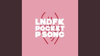 Watch Lndfk Pocket P Song video