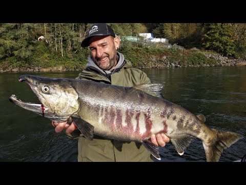 Video: Com'è Andare A Pescare Il Salmone In Alaska