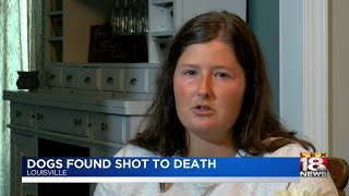 Dogs Found Shot To Death