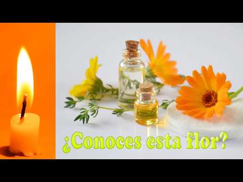 Ardor de estomago remedios caseros