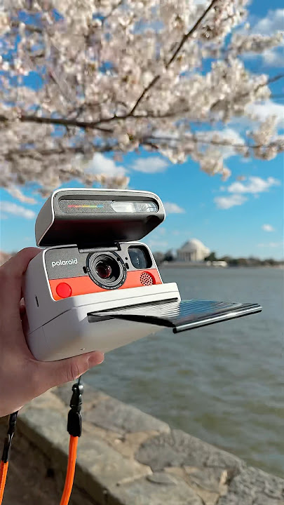 Polaroid Flip Features and Examples #polaroid
