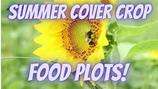 Summer Cover Crop Blends for Deer Food Plots