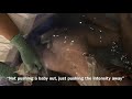 Blissful Backyard Birth- Homebirth Waterbirth Of Faera