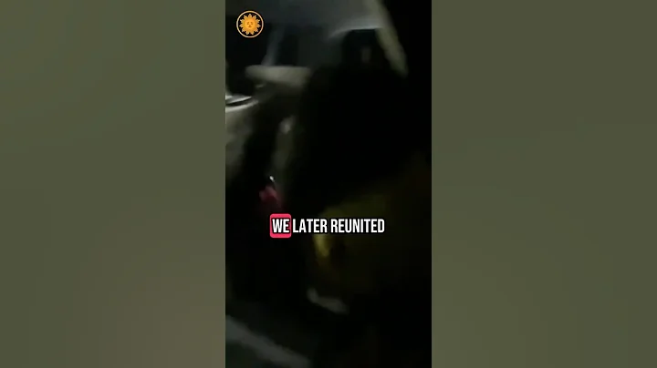 CBS News team saves dogs trapped in home during fire #shorts