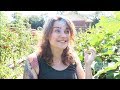 For The Love of Okra (Why Grow It and What to Do With It!) | Roots and Refuge Farm