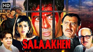 सनी देओल की दमदार एक्शन मूवी | Sunny Deol Superhit Action Movie | Amrish Puri | Raveena Tandon