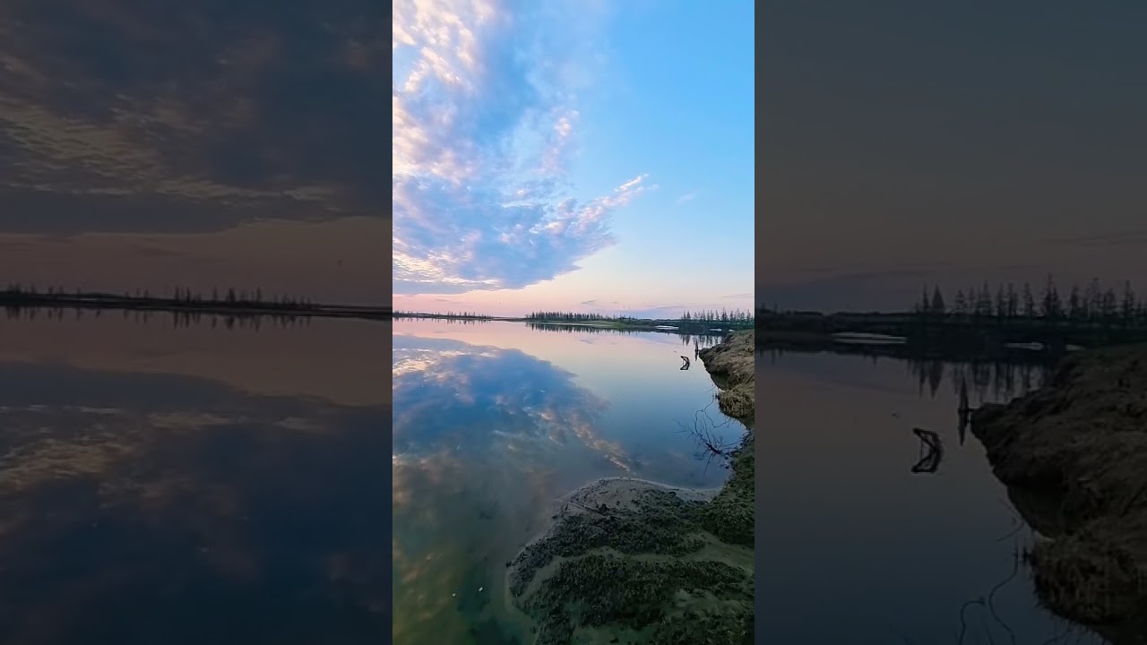 Заполярье.Крайний север.25.06.2024 