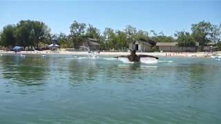 Lifeguarding Drill: Porpoising, tutorial