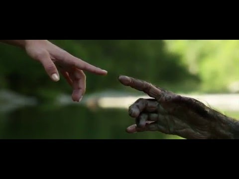 Punk music video thumbnail preview for Diary of Dreams - Malice