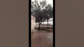 لَّا يَسْأَمُ الْإِنسَانُ مِن دُعَاءِ الْخَيْرِ وَإِن مَّسَّهُ الشَّرُّ فَيَئُوسٌ قَنُوطٌ. سورة فصلت