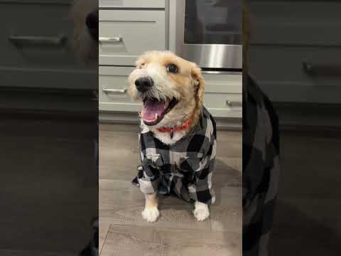 Burnside Village TVC - Where Fashion Lives - 60 Second Variation