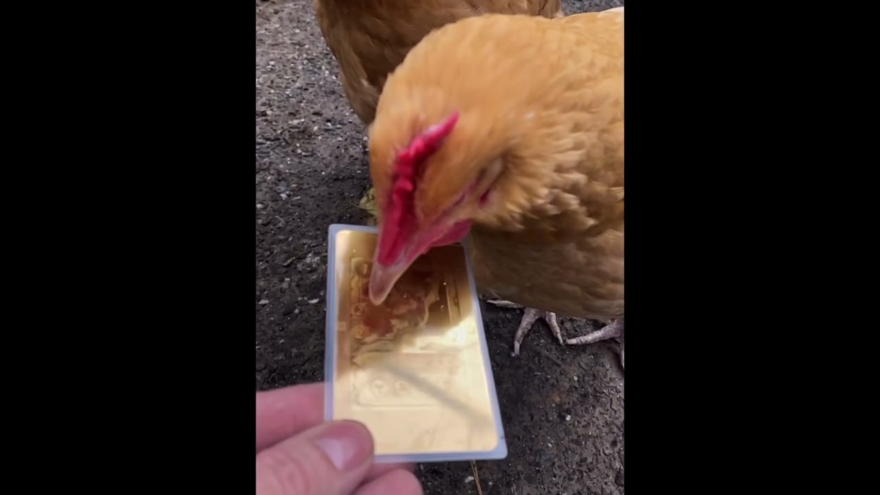 The Mighty Dricken Of Splinterlands