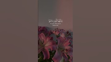 (فاذكروني اذكركم ) بصوت الشيخ #ياسر_الدوسري#سورة_البقرة