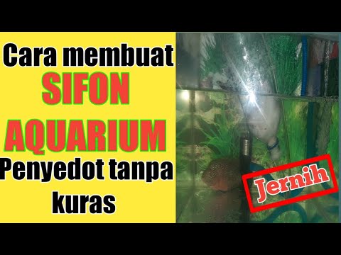 Video: Sifon Kebersihan: Ciri Sifon Untuk Bidet Dan Tandas, Kami Memilih Sifon Untuk Tab Mandi Akrilik Atau Besi Tuang, Alat Sifon Pembetung Dengan Injap Bawah