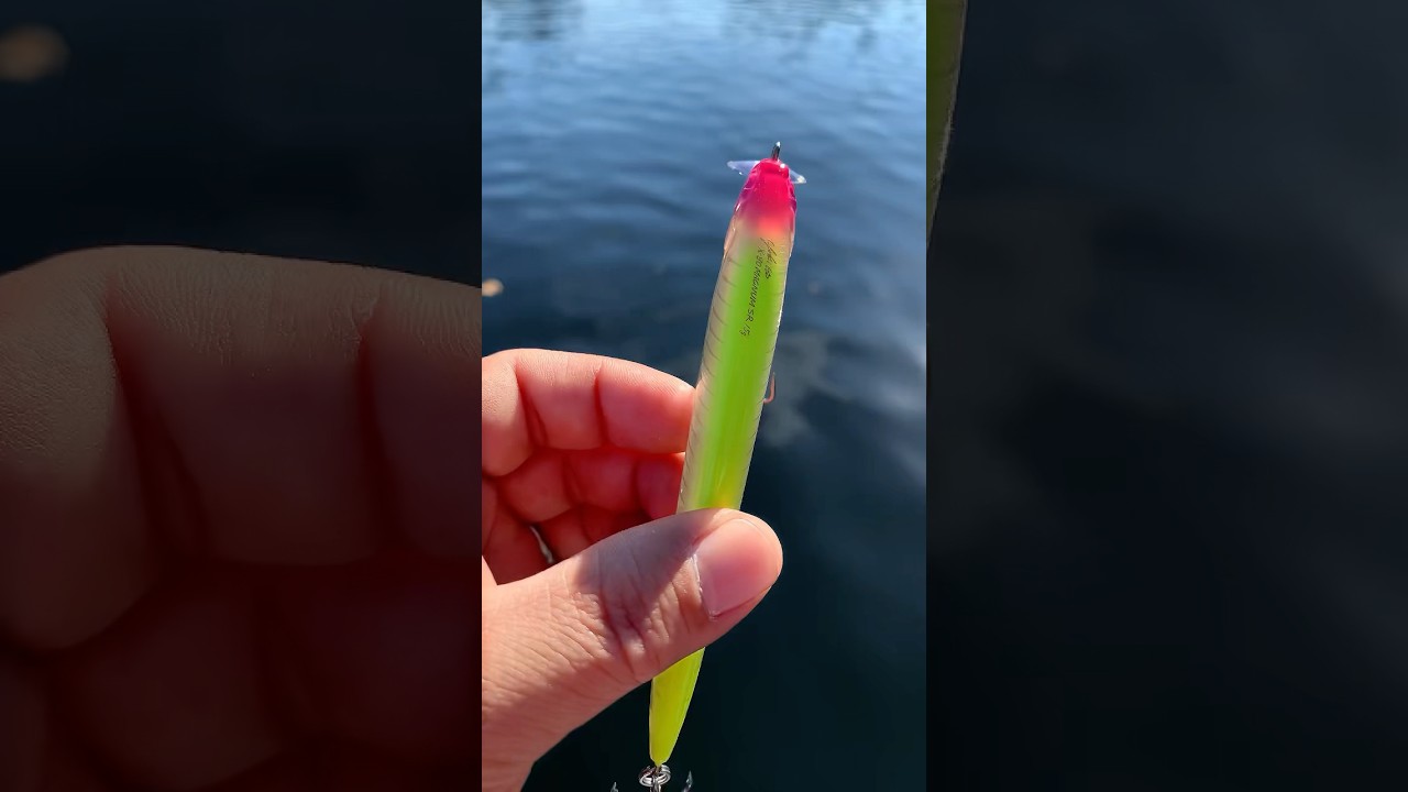 これだから中古ルアーえぐりはやめられない！「メガバス欲しかった