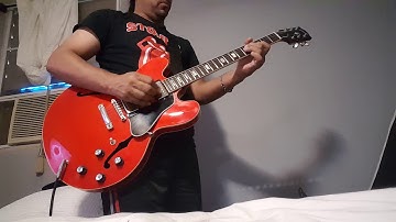 Danny Rosa,  Fractal FX8 II,  Fender DeVille 410, Gibson ES 335