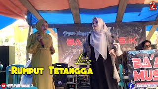 RUMPUT TETANGGA (Laura) Orgen Tunggal BA'AN MUSIK