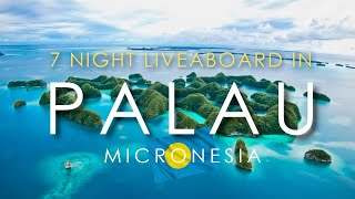 Palau, Micronesia   7Night Scuba Diving Liveaboard | Is it WORTH IT? What to Expect