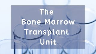 Inside Narayana Health’s Bone Marrow Transplant Unit