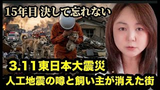 ⒊11 東日本大震災!現場で見てきた飼い主の消えた街!恐ろしい揺れの中、瓦礫に苦しんでいた子猫