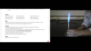 U2.A5 Summative Lab- Flame Test