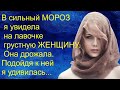 В сильный МОРОЗ  я увидела на лавочке грустную ЖЕНЩИНУ. Она дрожала. Подойдя к ней я удивилась...