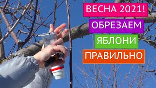 ОСНОВНЫЕ ПРАВИЛА ОБРЕЗКИ ЯБЛОНЬ ВЕСНОЙ! НЕ СДЕЛАЙТЕ ОШИБОК!