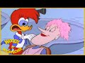 Woody Woodpecker | Bad Hair Day | Full Episodes